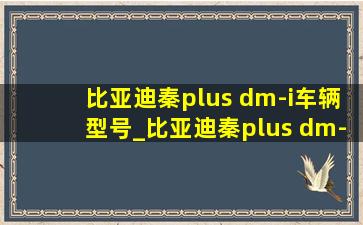 比亚迪秦plus dm-i车辆型号_比亚迪秦plus dm-i车辆型号是什么